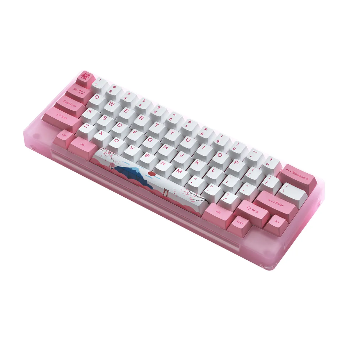 Akko ACR59 Combo RGB (SMD LED & Underglow) Hot-Swappable Acrylic Mechanical Keyboard World Tour Tokyo (Jelly Pink Switches)