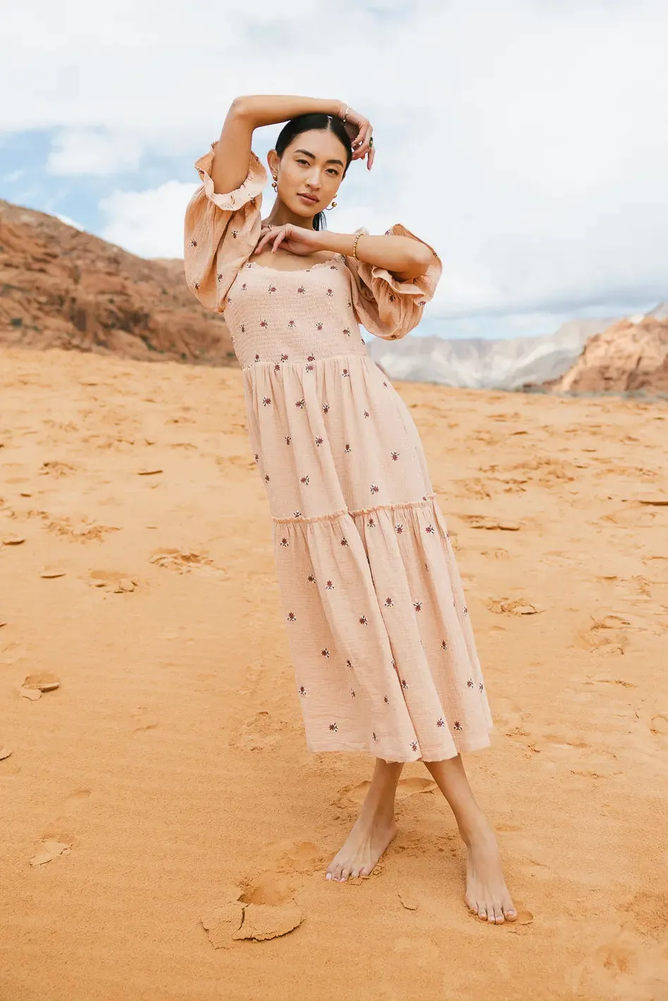 Ditsy Floral Embroidered Dress in Blush - FINAL SALE