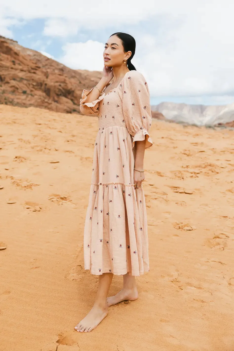 Ditsy Floral Embroidered Dress in Blush - FINAL SALE