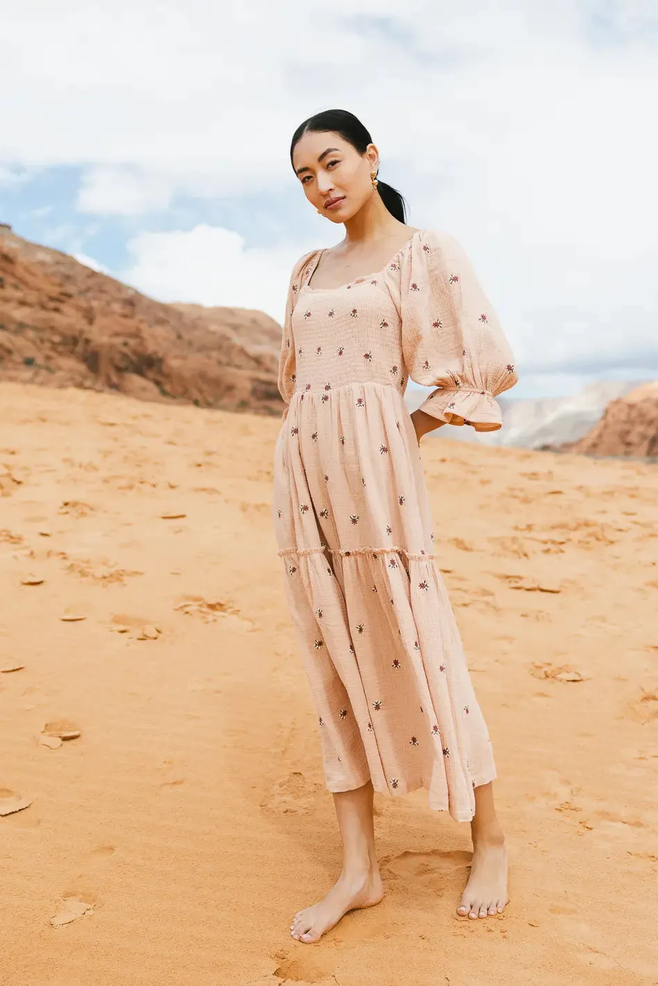 Ditsy Floral Embroidered Dress in Blush - FINAL SALE