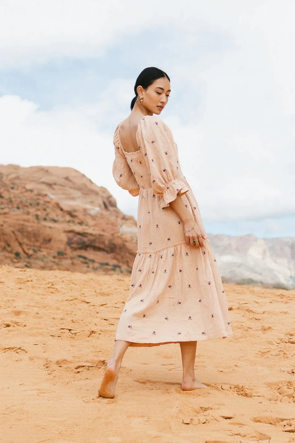 Ditsy Floral Embroidered Dress in Blush - FINAL SALE