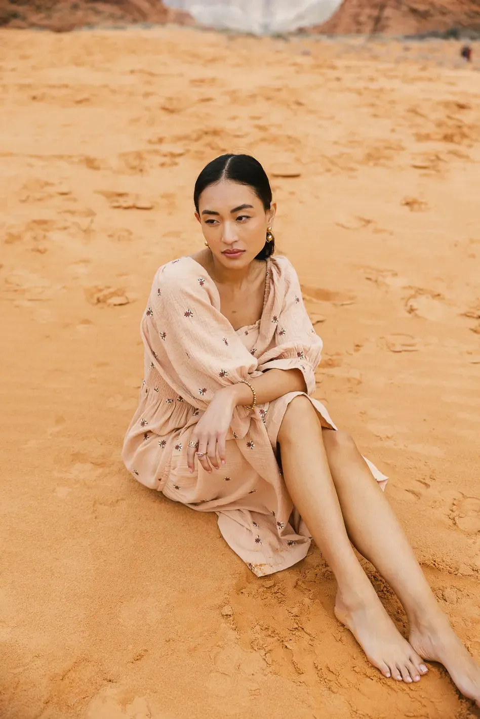 Ditsy Floral Embroidered Dress in Blush - FINAL SALE