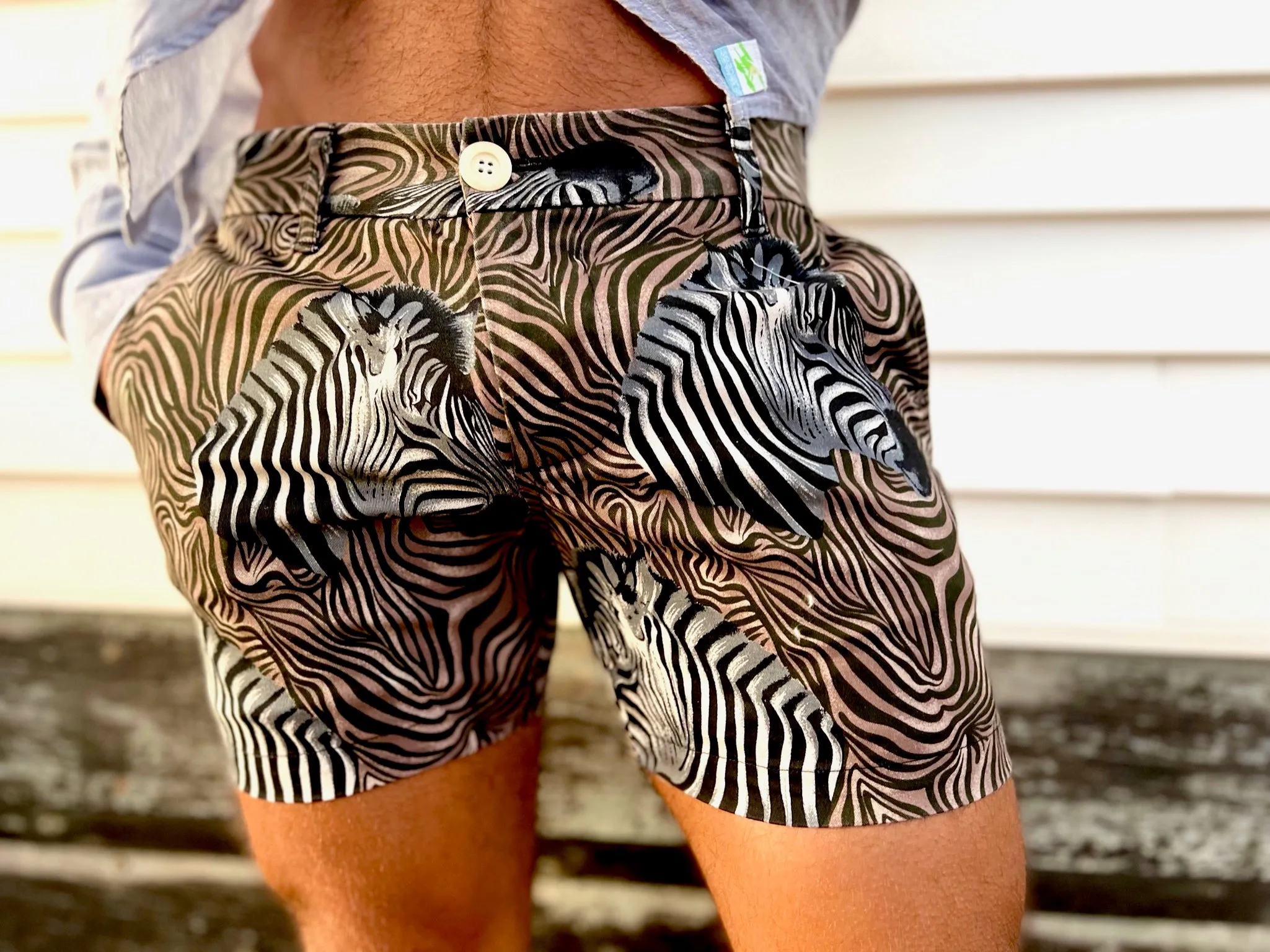 zebrafiction bones short