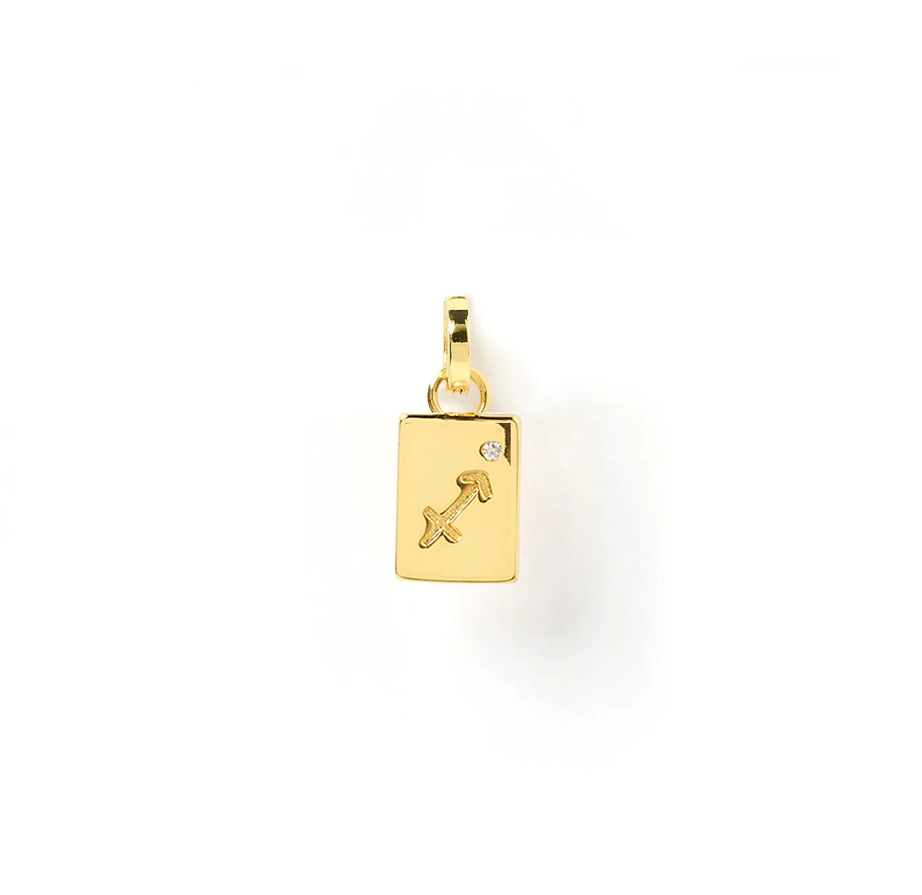 Zodiac Tag Charm