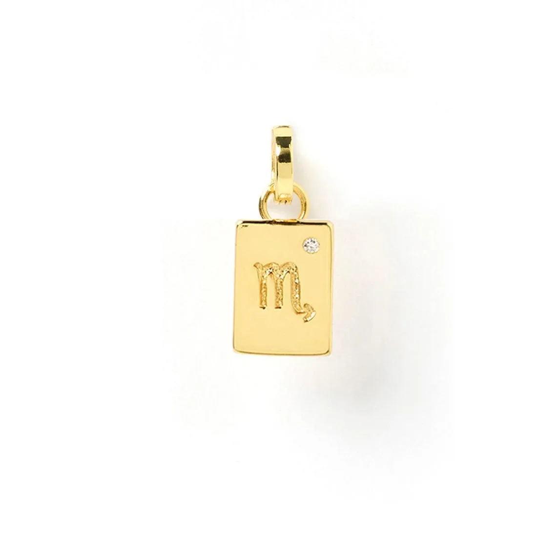 Zodiac Tag Charm