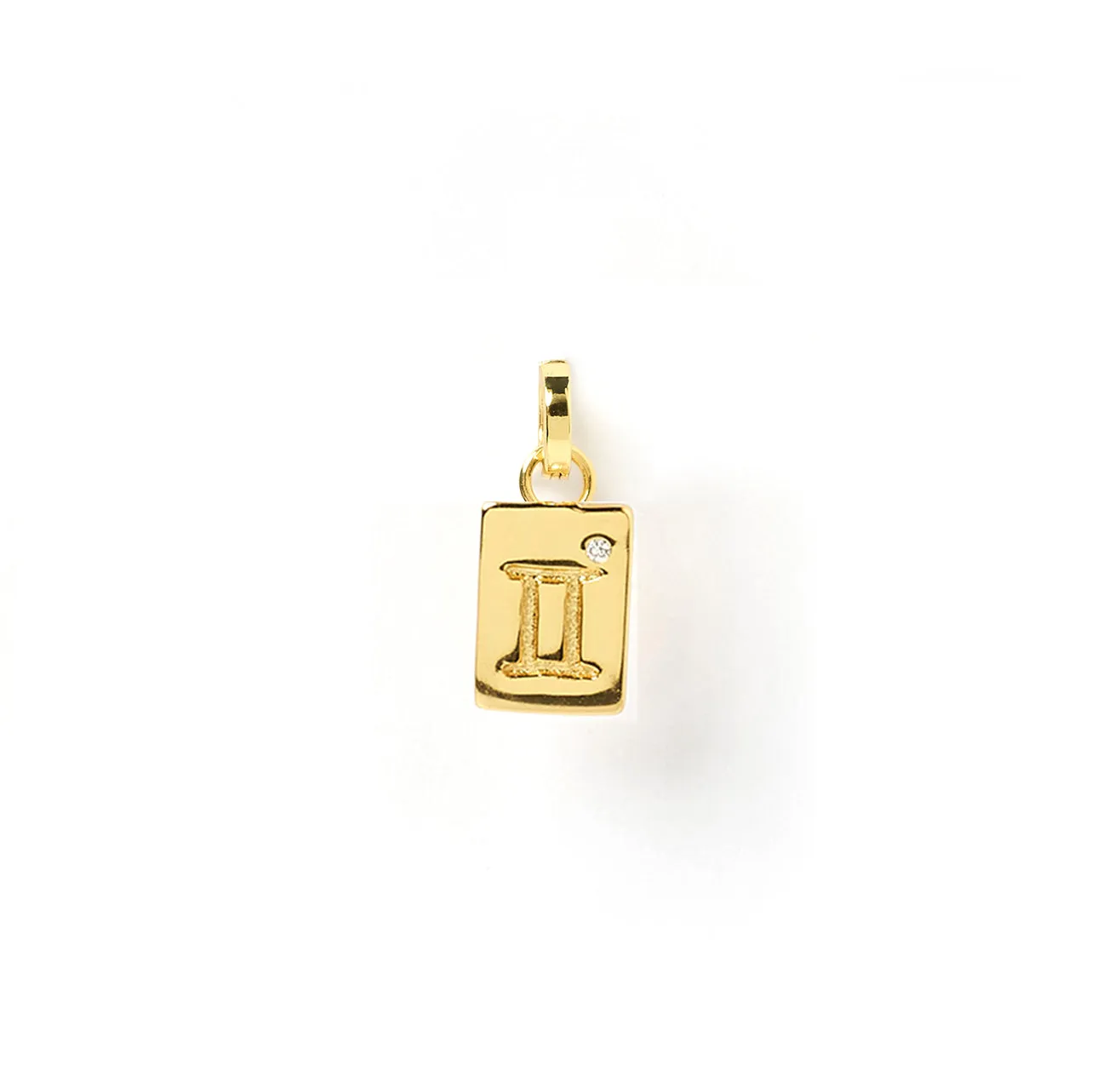 Zodiac Tag Charm