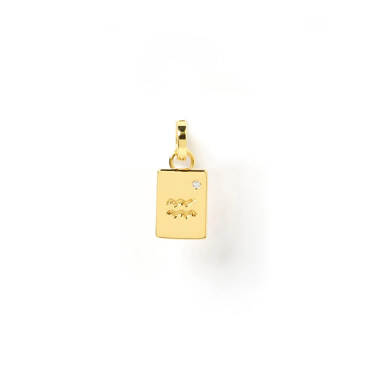Zodiac Tag Charm