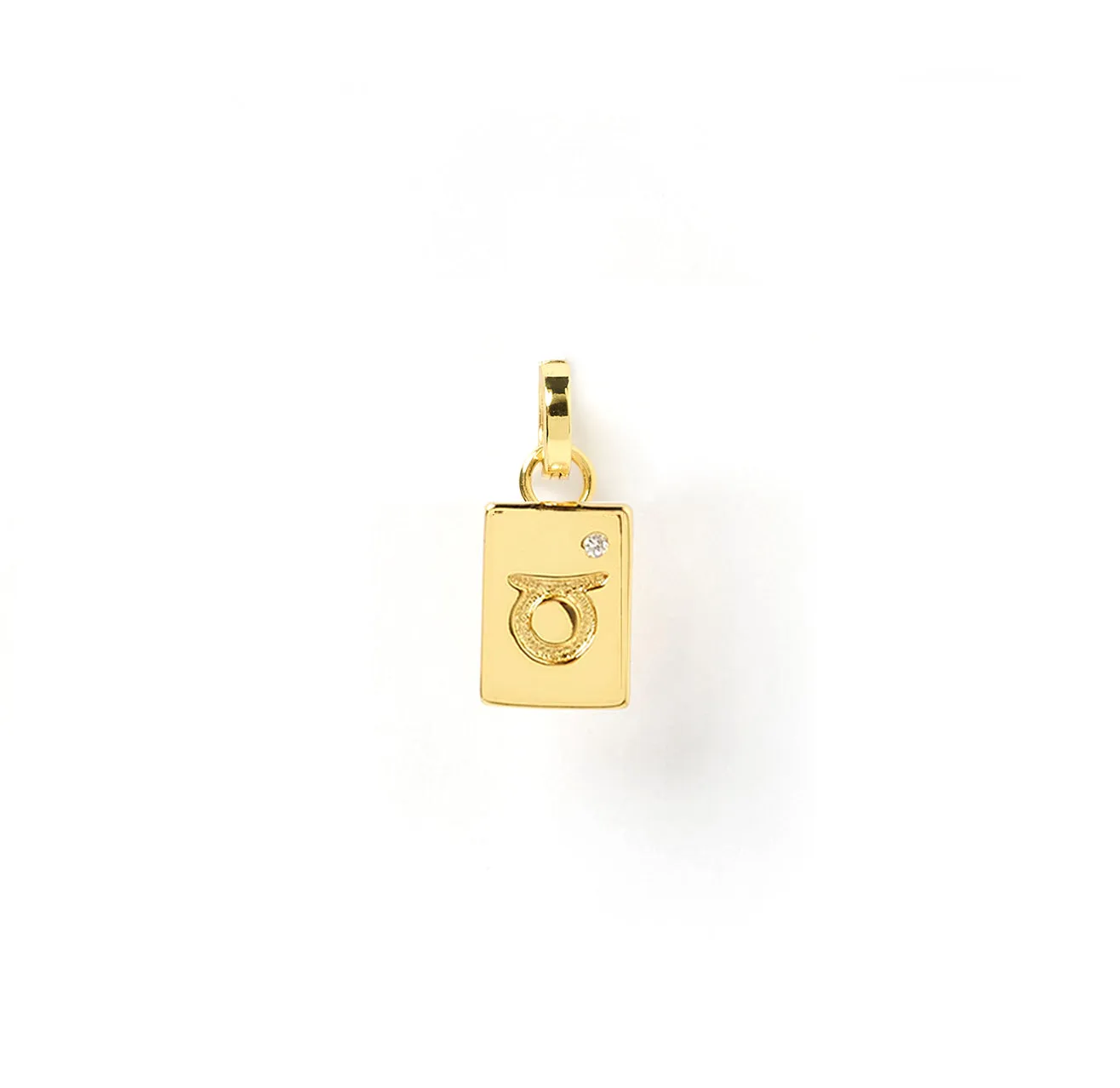 Zodiac Tag Charm