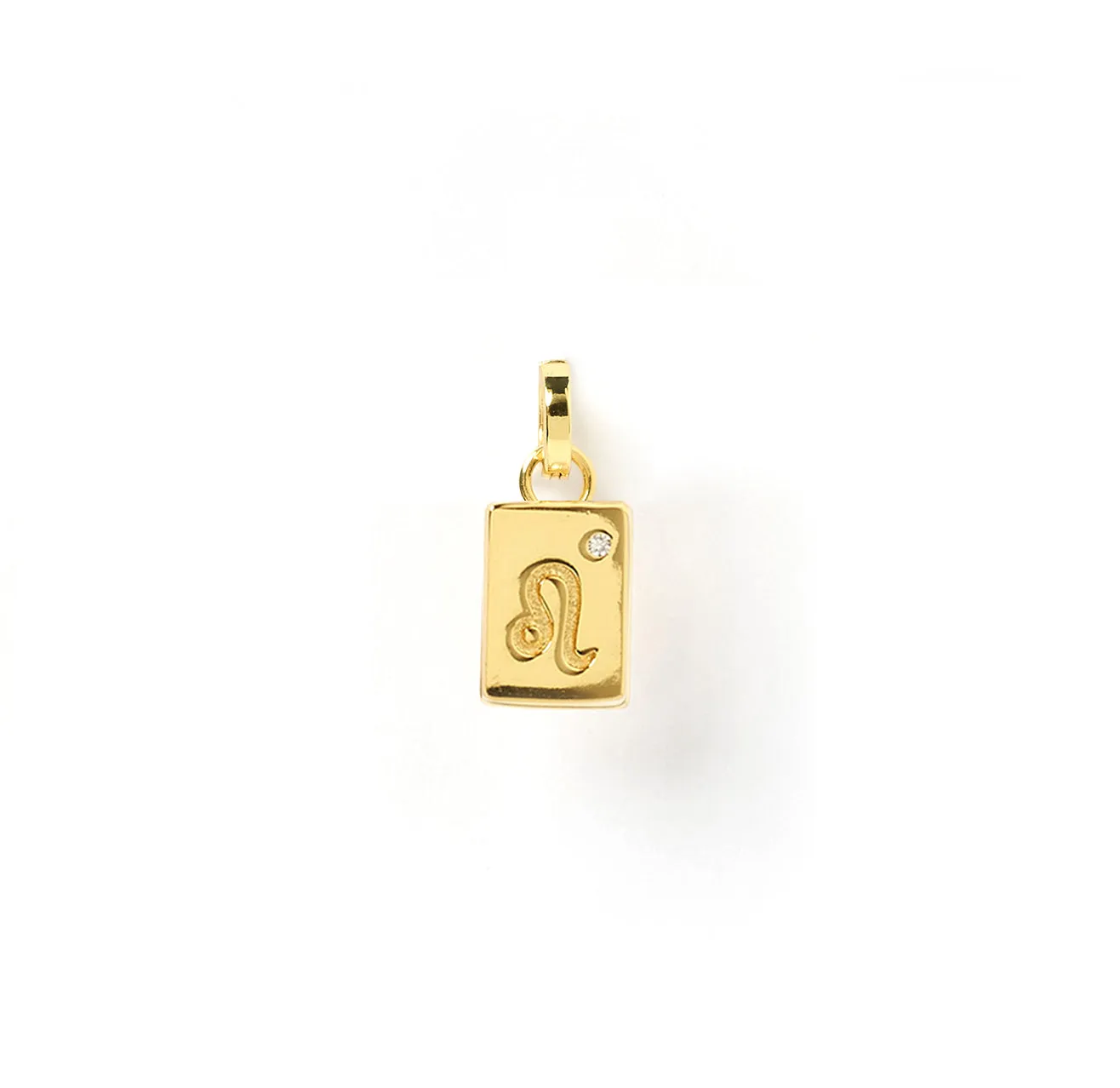 Zodiac Tag Charm